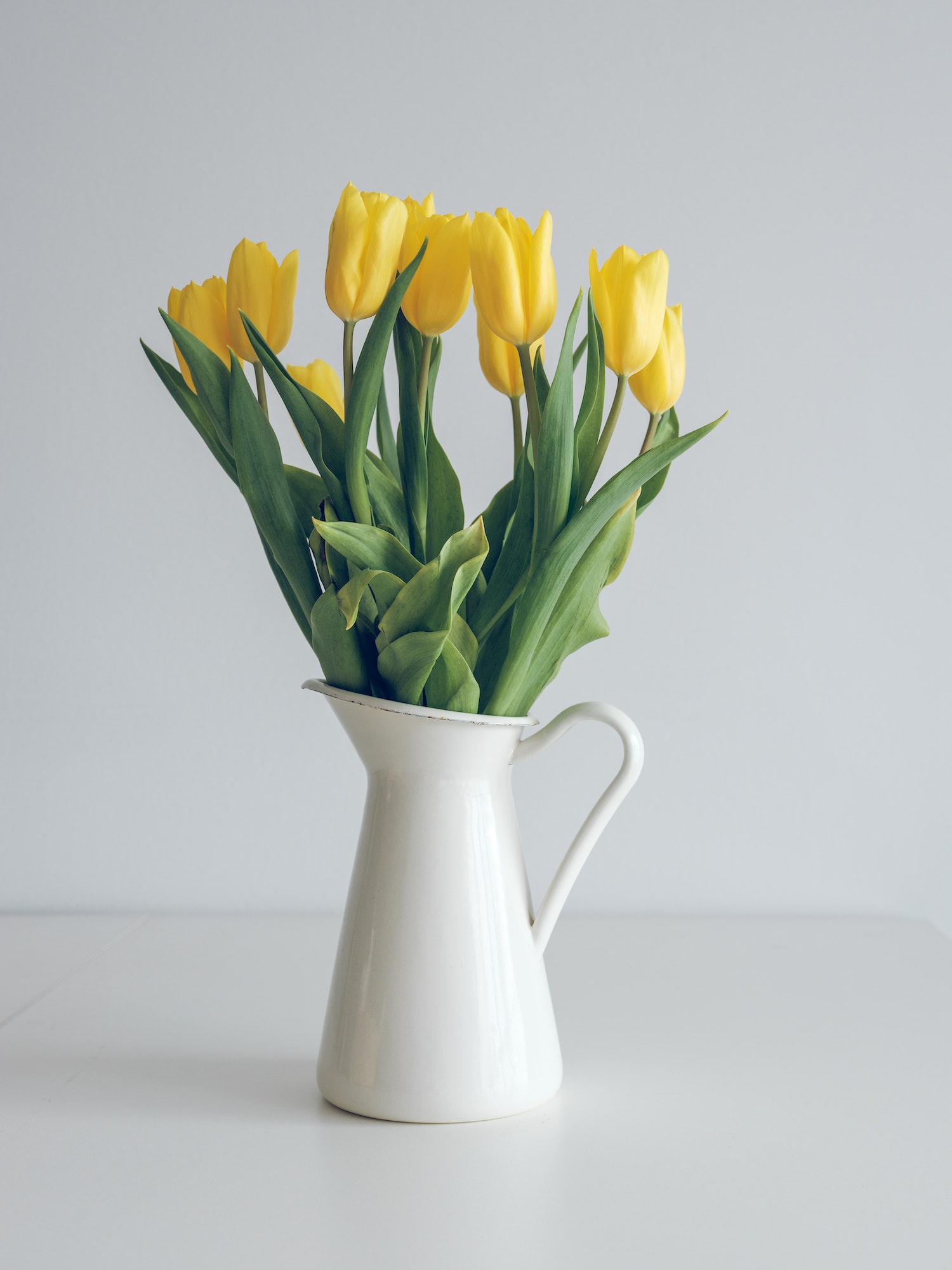 Bouquet of tulips in vase